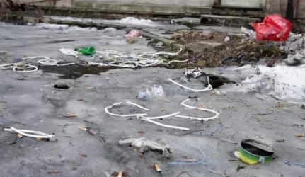 Klaipėdoje skelbiama švaros mėnesio pradžia