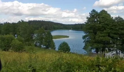 Patvirtintas Labanoro regioninio parko tvarkymo planas