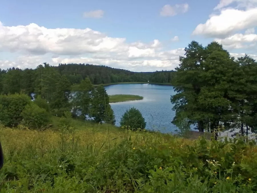 Patvirtintas Labanoro regioninio parko tvarkymo planas