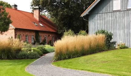 aplinkos sutvarkymas