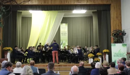 Renovuota auditorija