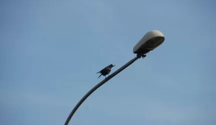 Suskaičiuoti 2012 m. elektros energijos tiekimo kokybės rodikliai