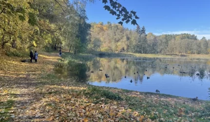 Jeruzalės tvenkinys