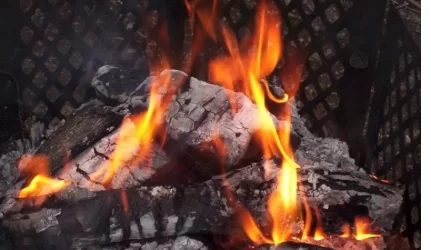 Kai pavydu ne tik krosnelės ar židinio, bet ir lengvos priežiūros