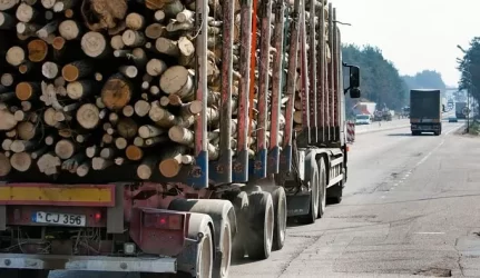 Medienos perdirbėjai sufleruoja, kaip užsidirbti papildomą milijardą