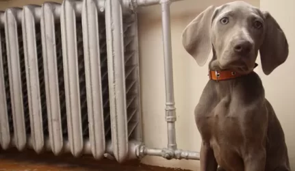 Šilumos supirkimo kainodara kol kas nepalanki vartotojams