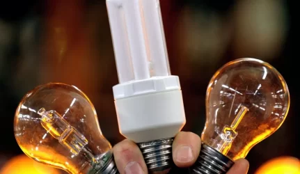 Taupiosios lemputės iš Lietuvos antram gyvenimui prikeliamos Latvijoje