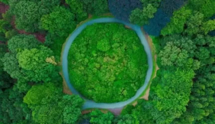 žalieji pirkimas Lietuvoje