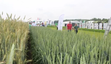 žemės ūkio statistika