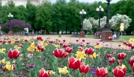 M. Pakalnis: sprendimas dėl Lukiškių aikštės yra kompromisinis