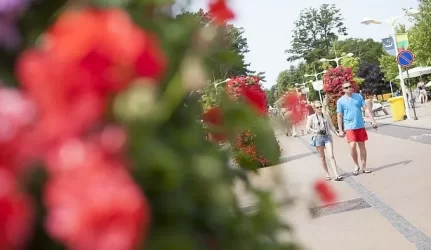 NT pirkimas Palangoje