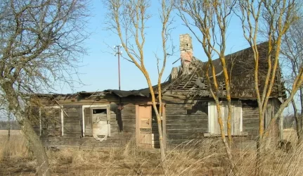 Toliau tyrinėjama ir gaivinama partizanų rėmėjų sodyba Balandiškyje