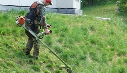 Teritorijos priežiūra