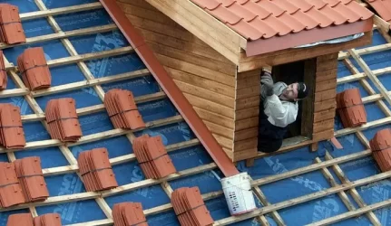 Daugiabučių renovavimo programa