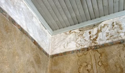 Jei norite išvengti pelėsio, prižiūrėkite namo renovacijos procesą