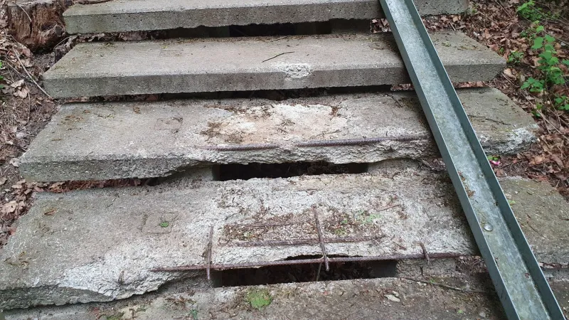 Tvarkomi Kauno pilies laiptai, jos prieigose bus tiesiamas takas