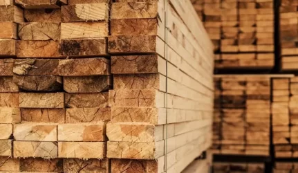 medienos savybės