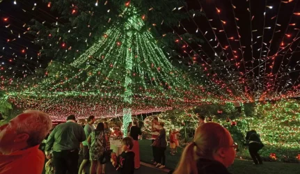 Australijoje šeima įžiebė rekordinį kalėdinių lempučių skaičių
