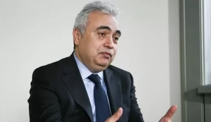 Vienas įtakingiausių pasaulio ekspertų: Lietuva turi argumentų už atominę