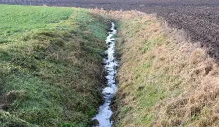 Visus melioracijos įrenginius nori perduoti žemės savininkams