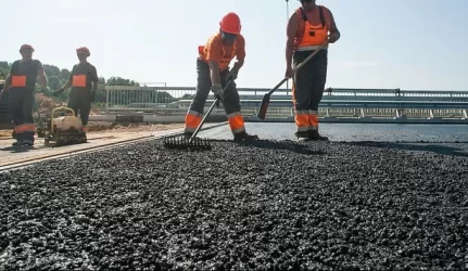 Žalieji: Vilniaus planai tiesti kelią per Verkių parką yra neteisėti
