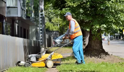 Atsižvelgdama į gyventojų prašymus, Taryba svarstys, kad tvarka dėl teritorijų priežiūros, įsigaliotų pusmečiu vėliau