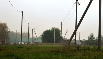 Genint želdinius būtinas dėmesys elektros linijų ir gyventojų saugumui