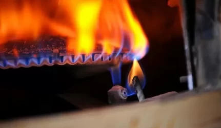 Seimo nariams aiškino, kodėl dujos pigs mažiau