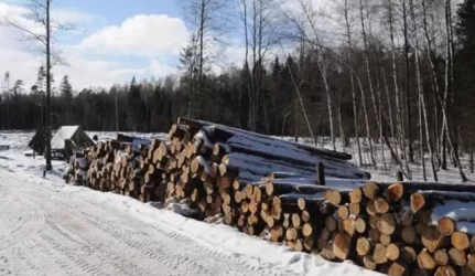 Už žemę miestuose atsiskaitys mišku?