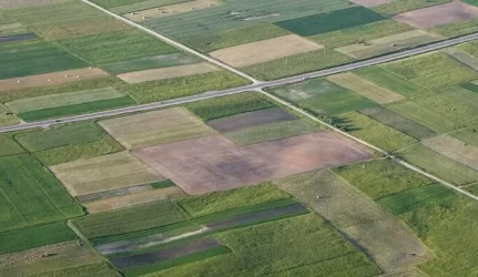 Belaukiant užsieniečių, žemės pirkliai sukasi