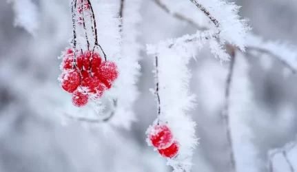 Netikėtos šalčio grimasos: užšalę vamzdžiai ir traumos ant ledo