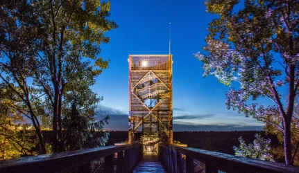 Pradedamas statyti unikalus medžių lajų takas