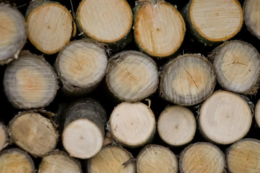 Sugriežtinti reikalavimai medienos vežėjams