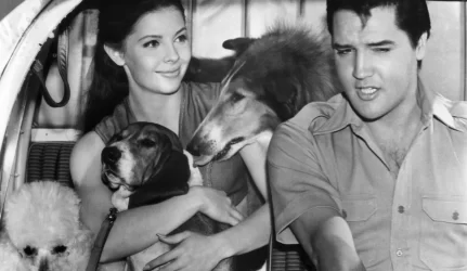 JAV parduodamas E. Presley namas-muziejus