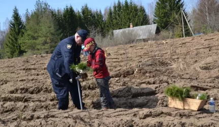 Žaliuojantys miestai ir miesteliai