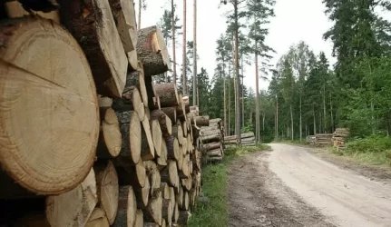 Dėl urėdų apsileidimo valstybė negaus iki 50 mln. litų