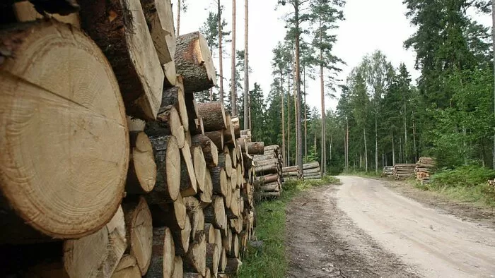 Dėl urėdų apsileidimo valstybė negaus iki 50 mln. litų