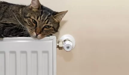 Kaip pigiau šildyti namus Britai