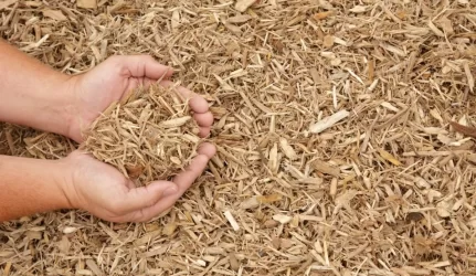 Vilniaus atstovai apsilankė vienoje didžiausių pasaulyje biokuru kūrenamoje elektrinėje Lenkijoje