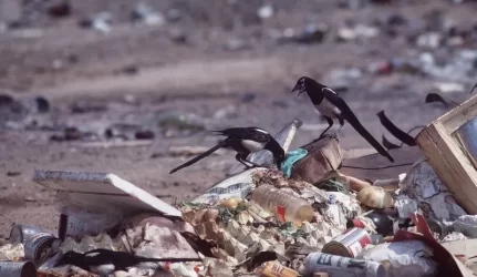 Atliekų rūšiavimas statybvietėje