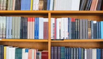 Bendraturčiai išvengs nesutarimų tik nustatę sklypo naudojimo tvarką