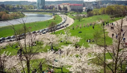 Vieša erdvė Upės gatvėje