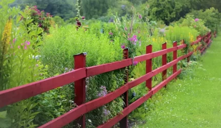 Norintiems keisti žemės ūkio paskirties žemės paskirtį jau neverta tapti „popieriniais“ ūkininkais