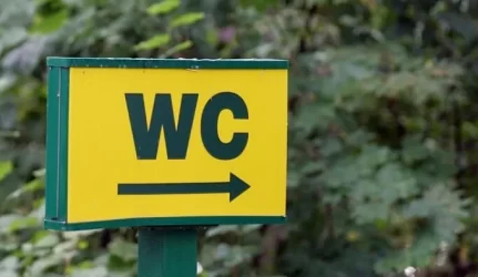 Viešieji tuoletai