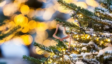 Nupuoštos eglutės virs ekologišku kuru