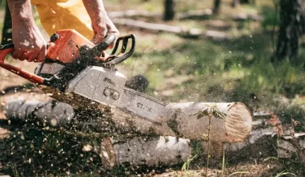 Įsigykite ir tvarkykite sklypą be papildomu rūpesčių