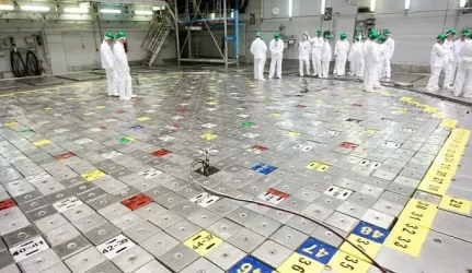 Prasideda pagrindinis IAE išmontavimo etapas