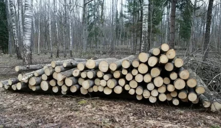 Estijoje dujas pakeis malkomis