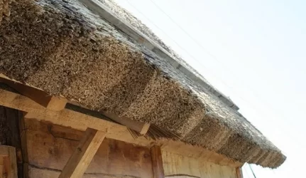 Dėl ko šiandien auga nendrinių stogų paklausa