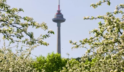 Televizijos bokšto rekonstrukcija